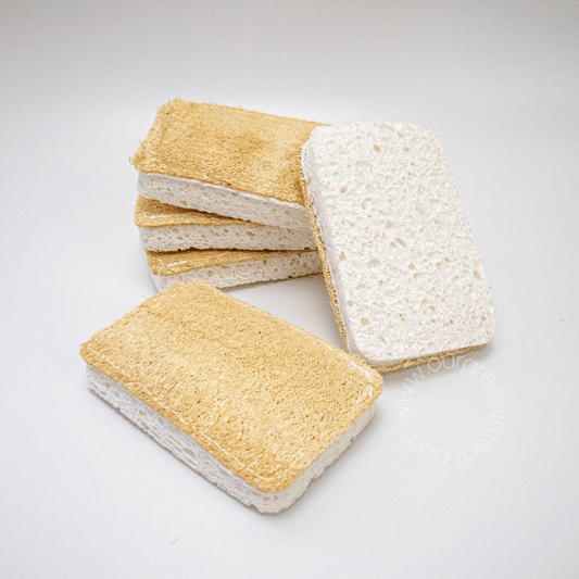 Cellulose Dish Sponge with Loofah Scrubber