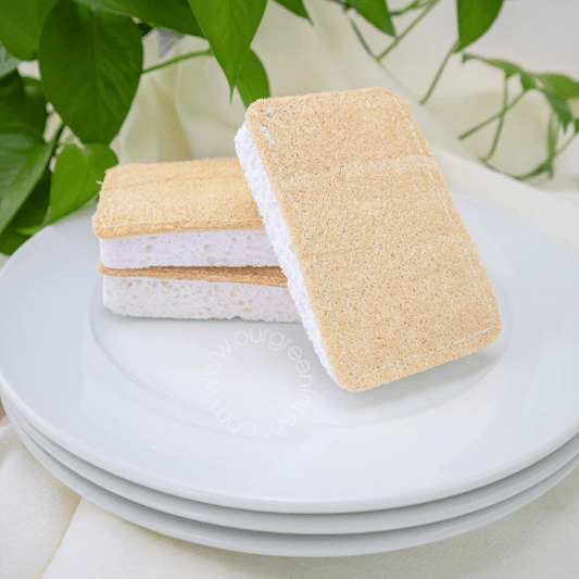 Cellulose Dish Sponge with Loofah Scrubber